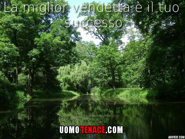 La miglior vendetta è il tuo successo
