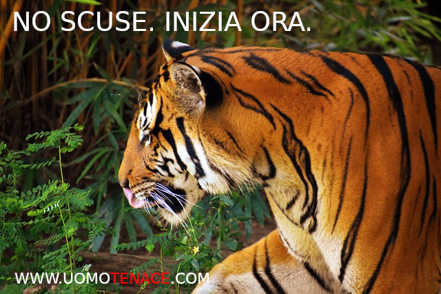 Non lasciare che le scuse ti raggiungano